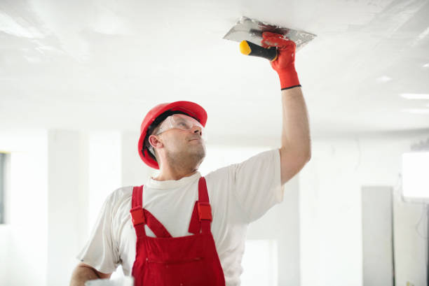 Best Eco-Friendly and Low-VOC Painting  in Dilworth, MN