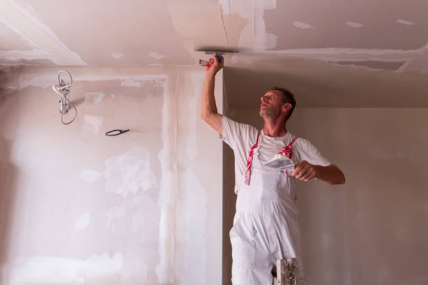 Best Wallpaper Removal and Painting  in Dilworth, MN